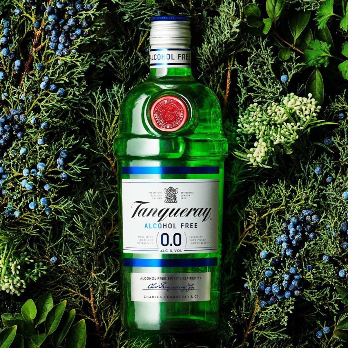 Tanqueray Alcohol Free 0.0