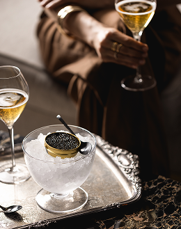 Four elegant Saicho sparkling tea bottles, showcasing Osmanthus, Darjeeling, Jasmine, and Hojicha varieties.