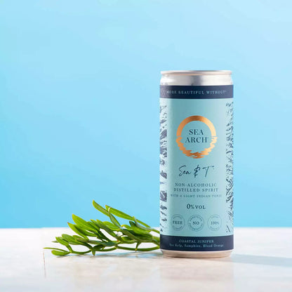 Sea Arch Sea &amp; T Non Alcoholic Gin &amp; Tonic, Case 6x250ml